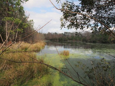 pond 5 (2)