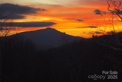 285 Wetherley None, Boone, NC 28607 - photo 4