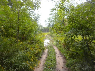 7 River Rd, Limington, ME 04049 - photo 7