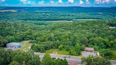 1639 Highway 65 S, Clinton, AR 72031 - photo 7