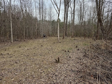 0 Hutcheson Rd unit 7537190, Temple, GA 30179 - photo 7