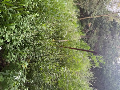 Lot 7 Block 2 1st St, Crofton, NE 68730 - photo 7