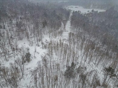 Lot 2 Mason Hill N, Starksboro, VT 05487 - photo 6