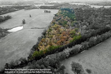 590 An County Road 169, Elkhart, TX 75839 - photo 2