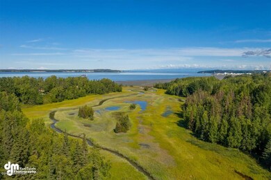 53-Aerials MS_0302