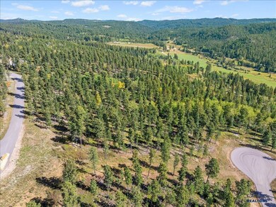 Lot 9 Other unit Meadow Wood Way, Lead, SD 57754 - photo 6