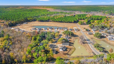 125 Double Pond Dr unit Lot 48 - Sullivan, Georgetown, SC 29440 - photo 4
