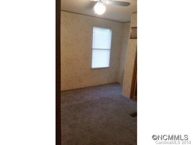 14 Noland Hills Dr, Leicester, NC 28748 - photo 5