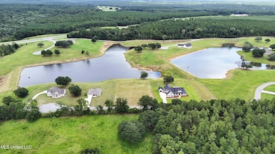 Lot 22 Gracies Way, Lucedale, MS 39452 - photo 7