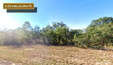 0 Malaluka Place unit 25580267, Chipley, FL 32428 - photo 3