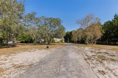 16933 Bosley Dr, Spring Hill, FL 34610 - photo 5