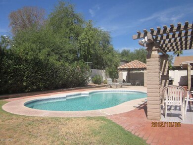 Rear Yard + pool (1)