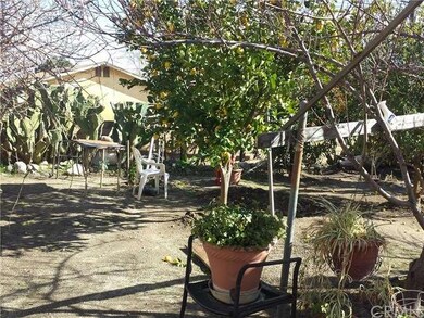 View of Backyard with Fruit Trees