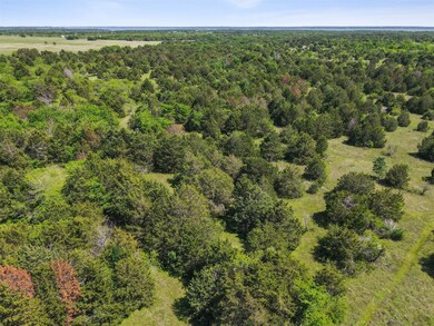 TBD Farm To Market 3243, Corsicana, TX 75109 - photo 4