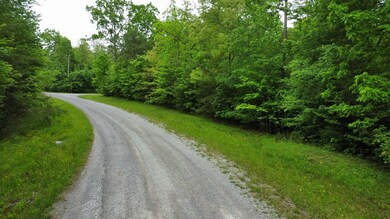 lot # 16 Laurel Loop, Monterey, TN 38574 - photo 5