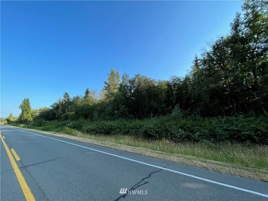 0 314th Place NW, Stanwood, WA 98292 - photo 7