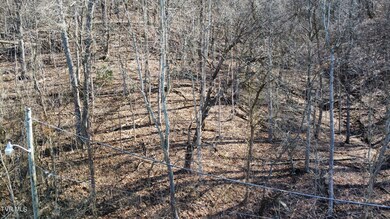 dji_fly_20240213_142332_696_170785222003