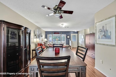 6517 Ocean Pines Ln, Spring Hill, FL 34606 - photo 7