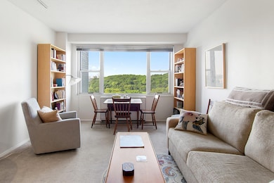 The Blue Building unit 3-B, Bronx, NY 10463 - photo 3