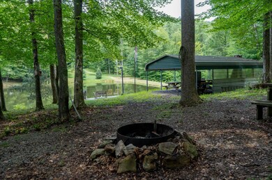 180 Thorpe Mountain Ln, Tallmansville, WV 26237 - photo 3