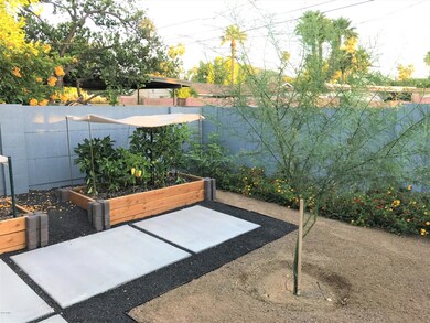 Patio (3)