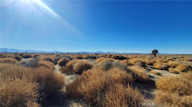 0 Vicinity Avenue L2 & 77th East St E unit SR24005278, Palmdale, CA 93535 - photo 2