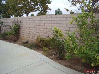 Fruit Trees in back yard