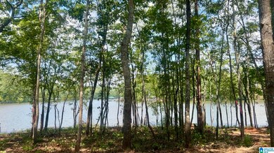 Lot 4/5 Old Highway 431 unit 1, Wedowee, AL 36278 - photo 3