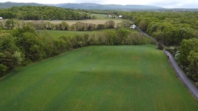 TBD Land Grant Rd, Mount Jackson, VA 22842 - photo 6