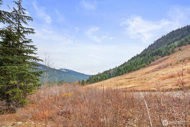 321 Innsbruck Dr, Snoqualmie Pass, WA 98068 - photo 4