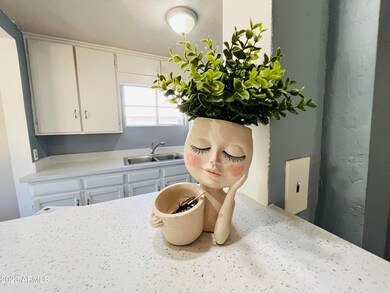 14 N Horne, Mesa, AZ 85203 - photo 5