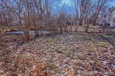 Backyard 2