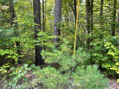 0 Elm St, Effingham, NH 03882 - photo 2