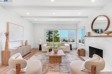 411 Vassar Ave, Berkeley, CA 94708 - photo 6