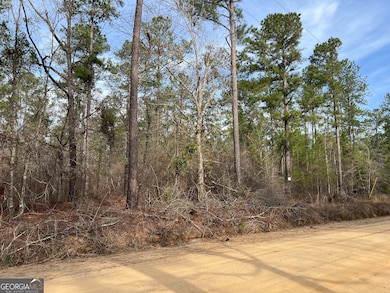 0 Busby Rd unit 10479601, Statesboro, GA 30458 - photo 7