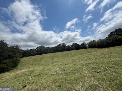 2004 Christian Rd, Dewy Rose, GA 30634 - photo 7