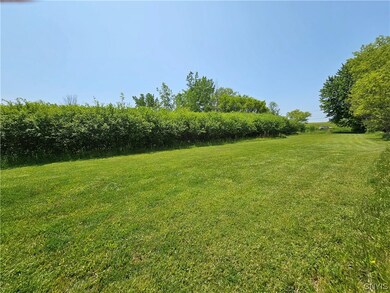 Back of the lot looking towards the road