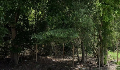 TBD Sand St, Houston, TX 77088 - photo 6