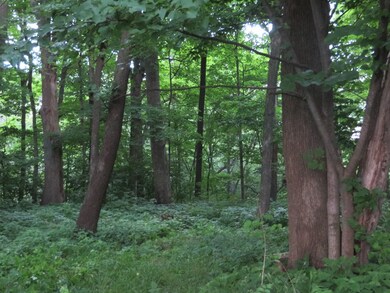 21772 2200 East St, Princeton, IL 61356 - photo 5