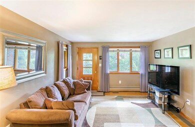 The living room lets in nice nature light.
