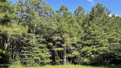 478 Andrew Chapel Rd, Brandon, MS 39042 - photo 6