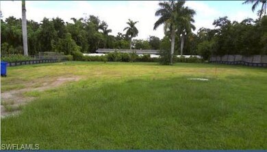1311 Jambalana Ln, Fort Myers, FL 33901 - photo 2