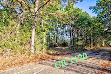 154 E County Road 1120, Redwater, TX 75501 - photo 7