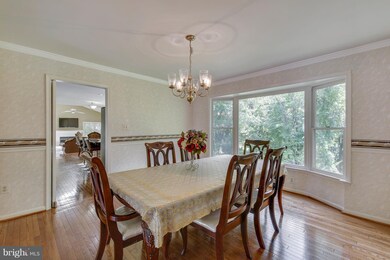 2800 Legendary Ct, Silver Spring, MD 20906 - photo 5