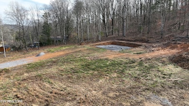 0 Lot 1 County Road 181, Decatur, TN 37322 - photo 4