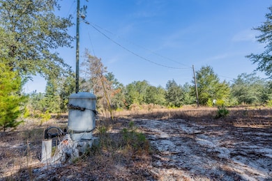 503 Old McHaus Rd, Nicholls, GA 31554 - photo 2