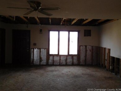 511 S Vine St, Camargo, IL 61919 - photo 4