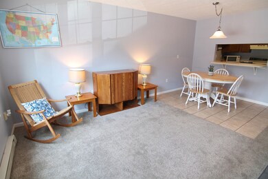 193 Main St unit 111, North Woodstock, NH 03262 - photo 7