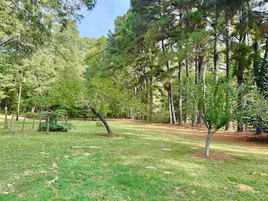 There are many fruit trees on the property