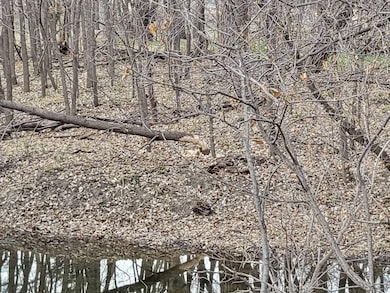 312 Bazille St, Center, NE 68724 - photo 7